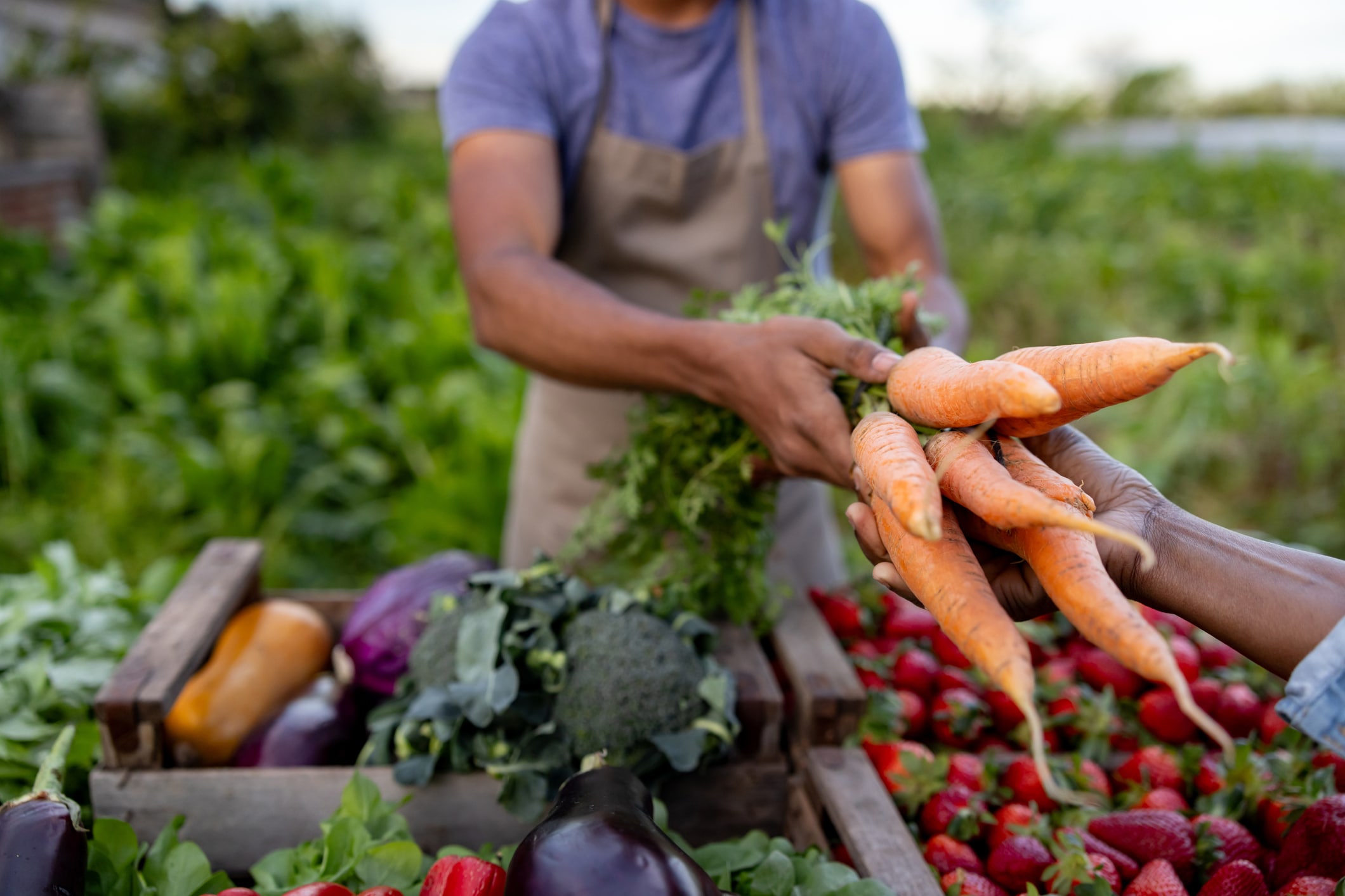 Choose from a bumper crop of fresh, tasty, locally grown produce at Strack & Van Til